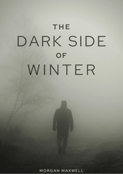 Published book cover 2